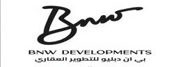 Developer logo 8