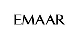 Developer logo 2