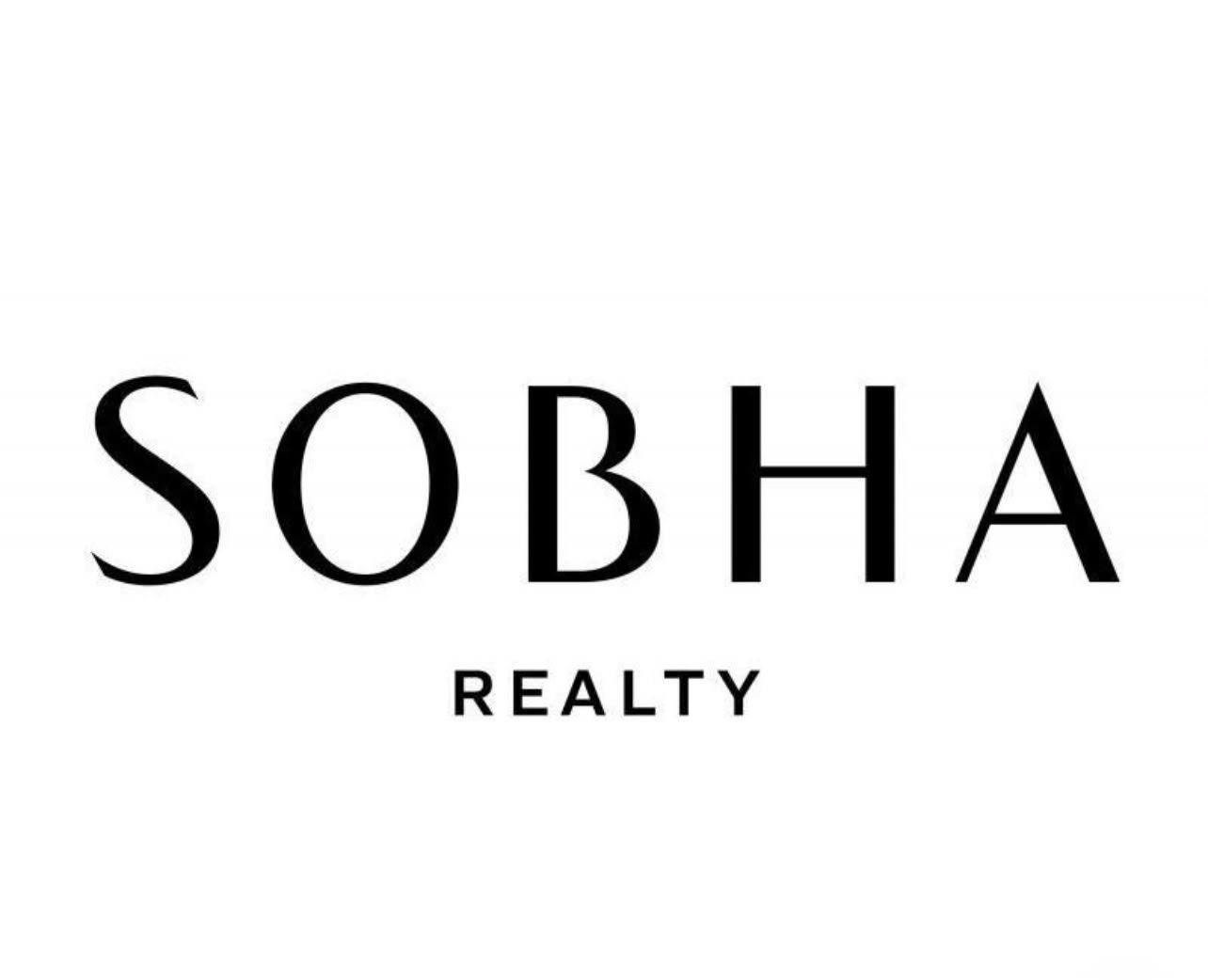 Developer logo 5